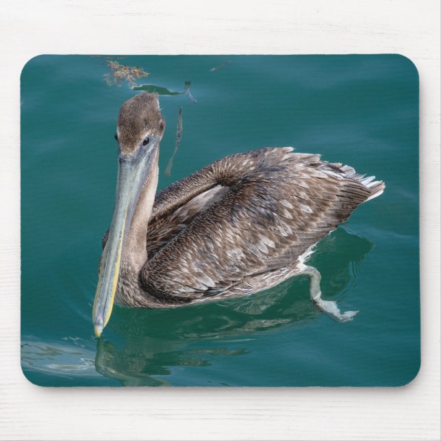 Brown Pelican Musmatta (Framsidan)