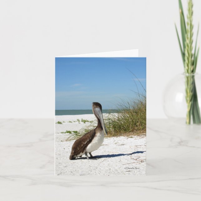 Brown Pelican Notecard Kort (Framsida)