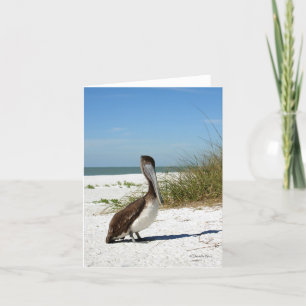 Brown Pelican Notecard Kort