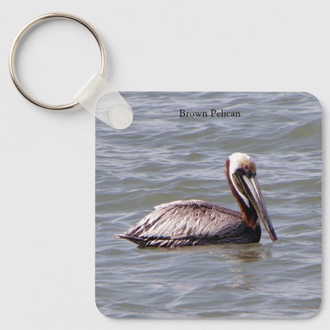 Brown Pelican nyckelring (Framsida)
