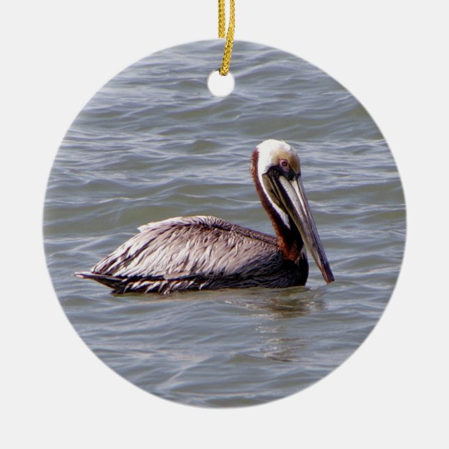 Brown Pelican ornament (Framsidan)
