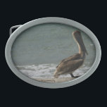 Brown Pelican på Beach<br><div class="desc">Ett foto av en brun pelikan som njuter av vatten och sand vid stranden en solnydag på ett låsbeslag i bälte</div>