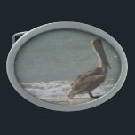 Brown Pelican på Beach<br><div class="desc">Ett foto av en brun pelikan som njuter av vatten och sand vid stranden en solnydag på ett låsbeslag i bälte</div>