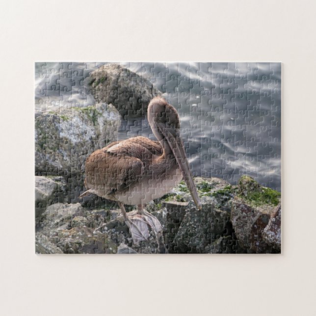 Brown Pelican på Sten Large Jigszawa Puzzle Pussel (Horisontell)