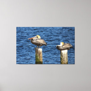Brown Pelican Pair Roosting on Posts Canvastryck