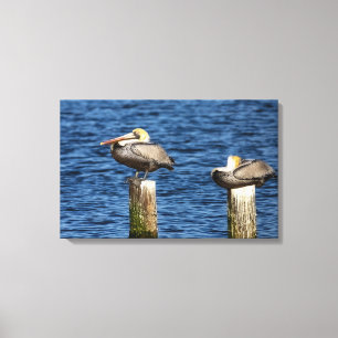 Brown Pelican Pair Roosting on Posts Kanvastryck