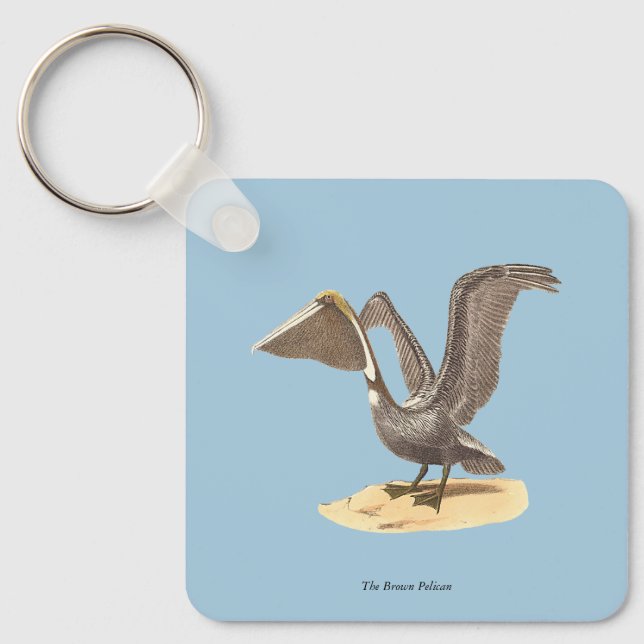 Brown Pelican (Pelecanus occidentalis) NY Bird Nyckelring (Framsida)