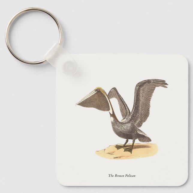 Brown Pelican (Pelecanus occidentalis) NY Bird Nyckelring (Framsida)