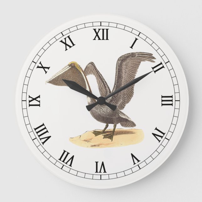 Brown Pelican (Pelecanus occidentalis) NY Bird Stor Klocka (Framsida)