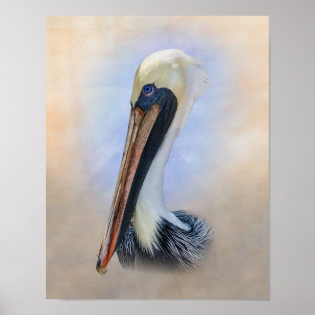 Brown Pelican Poster (Framsidan)