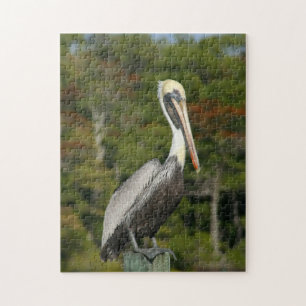 Brown Pelican Puzzle Pussel