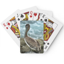 Brown Pelican vid oceanen