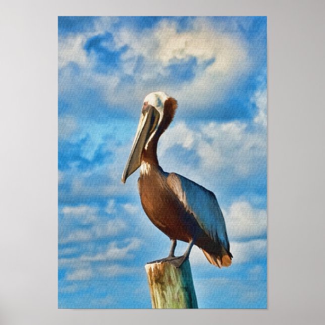 Brown Pelican vid Poster eller utskrift (Framsidan)