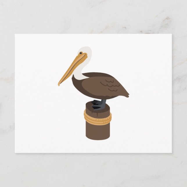Brown Pelican Vykort (Framsida)