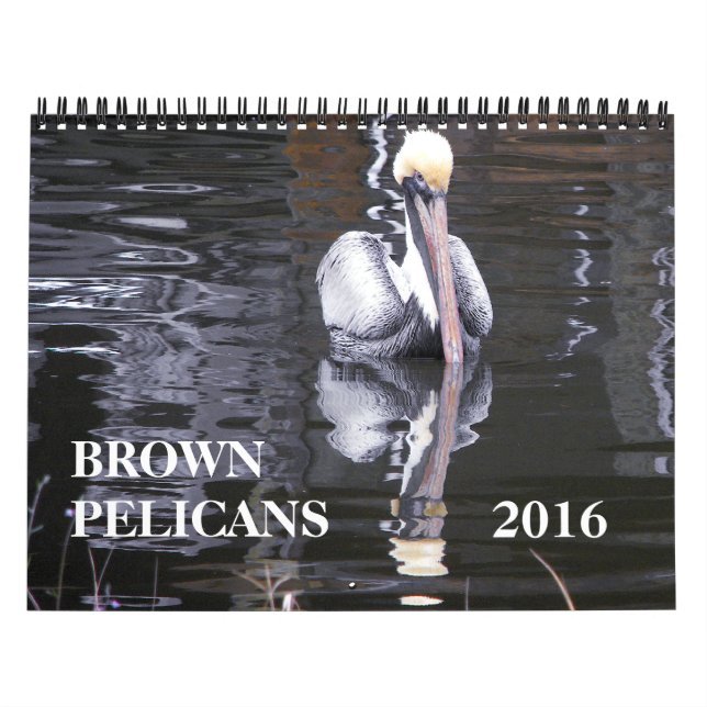 Brown Pelicans Kalender (Omslag)