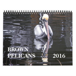 Brown Pelicans Kalender