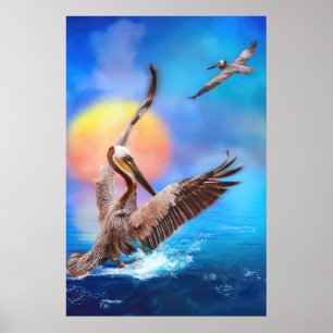 Brown Pelicans SOL KISSED ISLAND Poster