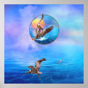 Brown Pelicans SOL KISSED PELICANS ISLAND Poster