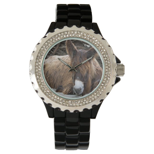 Brown Poitou Donkey Armbandsur (Framsida)