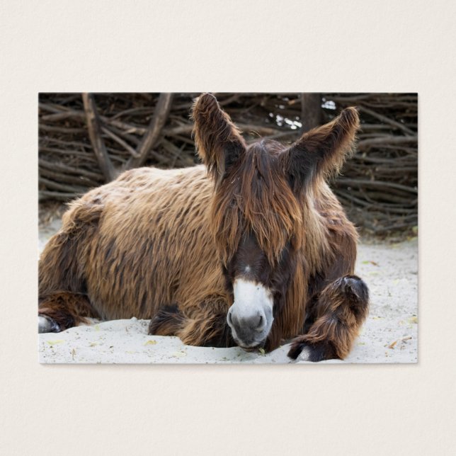 Brown Poitou Donkey Visitkort (Framsidan)