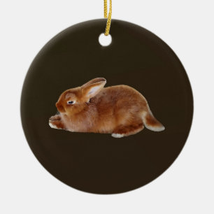 Brown Rabbit Julgransprydnad Keramik