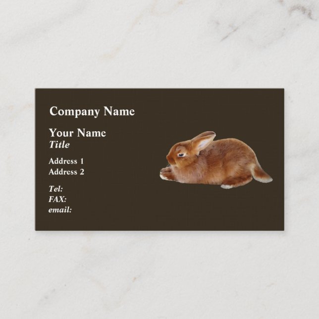 Brown Rabbit Visitkort (Framsida)