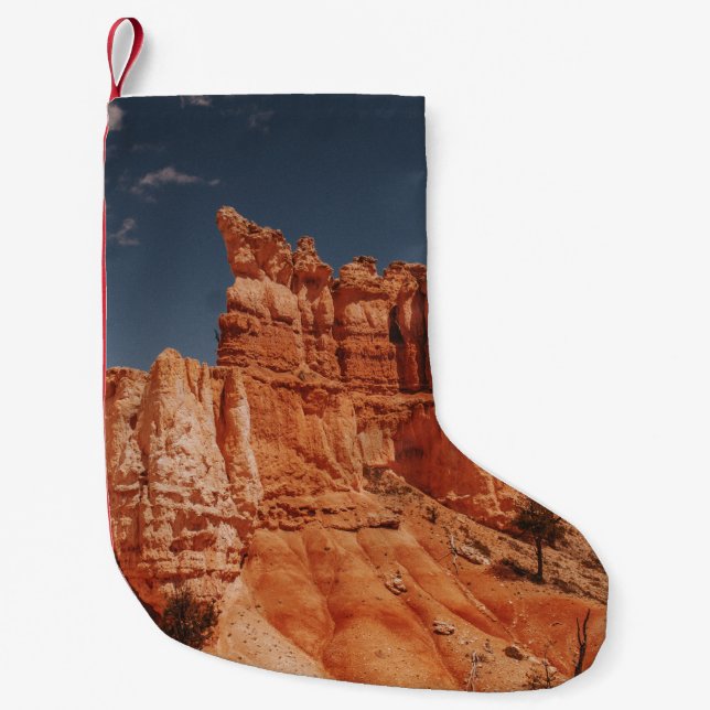 BROWN ROCKS LITEN JULSTRUMPA (Framsidan)