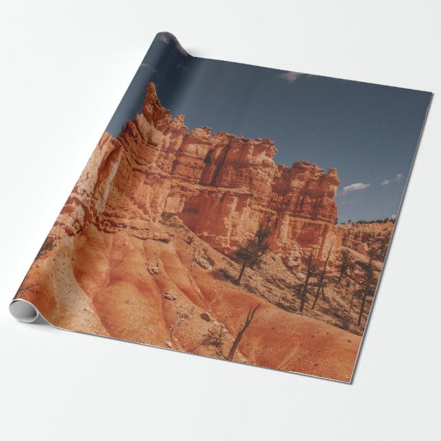 BROWN ROCKS PRESENTPAPPER (Utrullad)