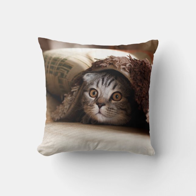 BROWN SCOTTISH FOLD IN BROWN THICK PILE BLANKET KUDDE (Framsida)