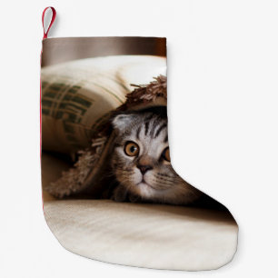 BROWN SCOTTISH FOLD IN BROWN THICK PILE BLANKET LITEN JULSTRUMPA