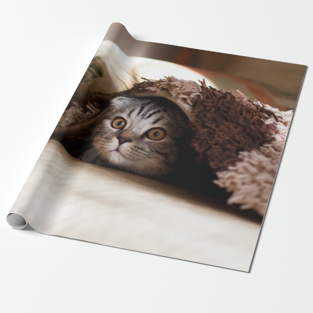 BROWN SCOTTISH FOLD IN BROWN THICK PILE BLANKET PRESENTPAPPER (Utrullad)