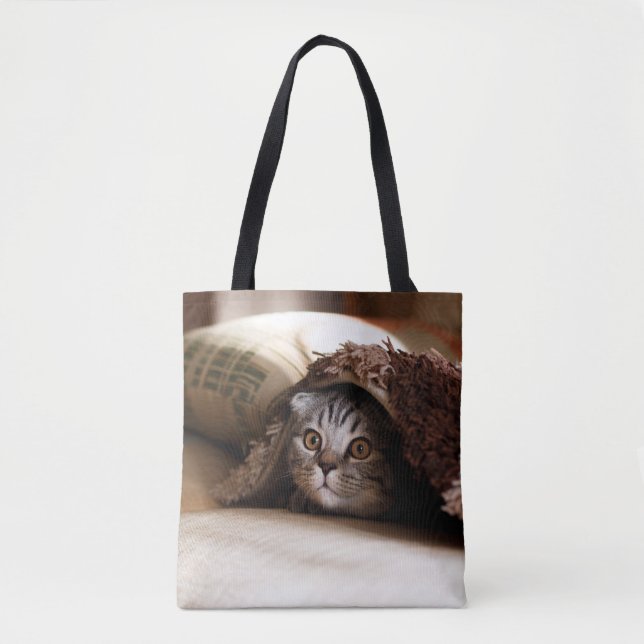 BROWN SCOTTISH FOLD IN BROWN THICK PILE BLANKET TYGKASSE (Framsida)