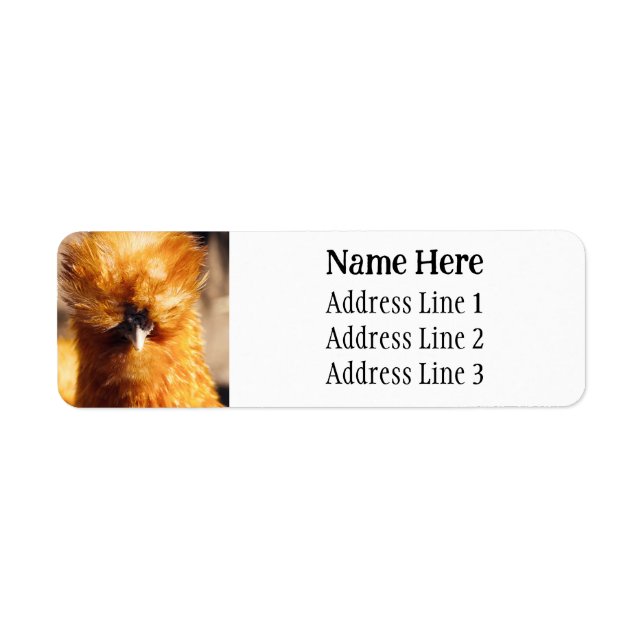 Brown Silkie Pet Chicken Returadress Returadress Etikett (Framsidan)