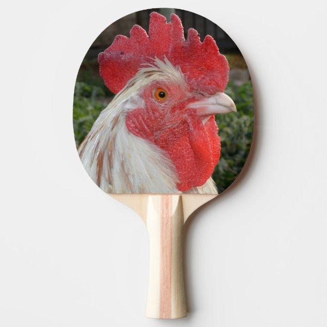 Brown Speckled Tupp Ansikte Pingisracket (Framsidan)