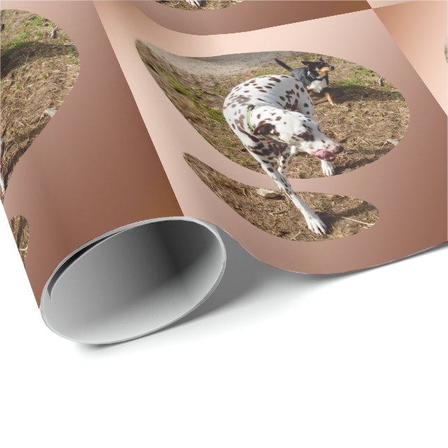 Brown Spoted Dalmatian Presentpapper (Rullad Hörn)