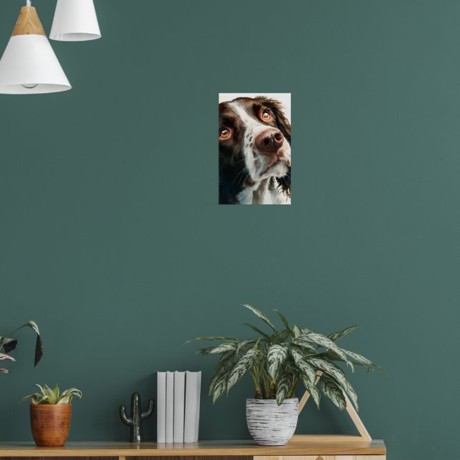 Brown springer spaniel  poster (Vardagsrum 1)