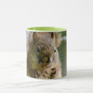 Brown Squirrel in Alberta – Woodland Wildlife Mugg
