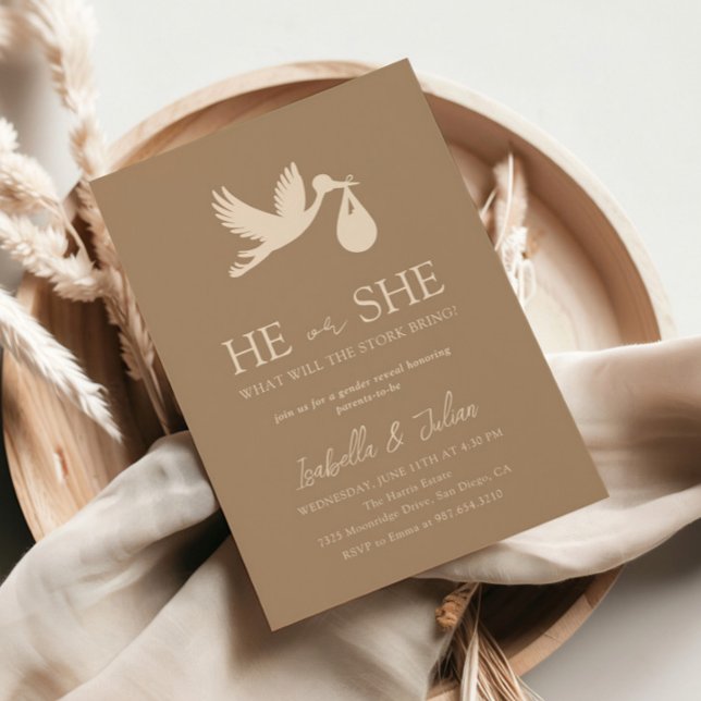 Brown Stork Baby Delivery Han eller hon Gender Rev Inbjudningar (Skapare uppladdad)