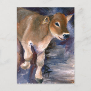 Brown Swiss Calf Vykort