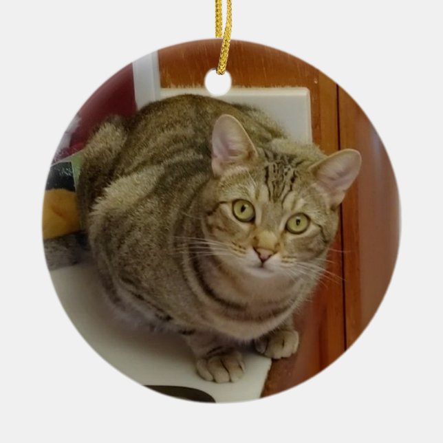 Brown Tabby katt jul Ornament (Framsidan)