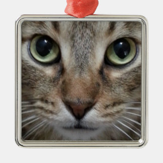 Brown Tabby katt Julgransprydnad Metall