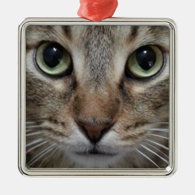 Brown Tabby katt Julgransprydnad Metall (Framsidan)