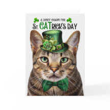 Brown Tabby katt St CATricks Dag Lucky Charm