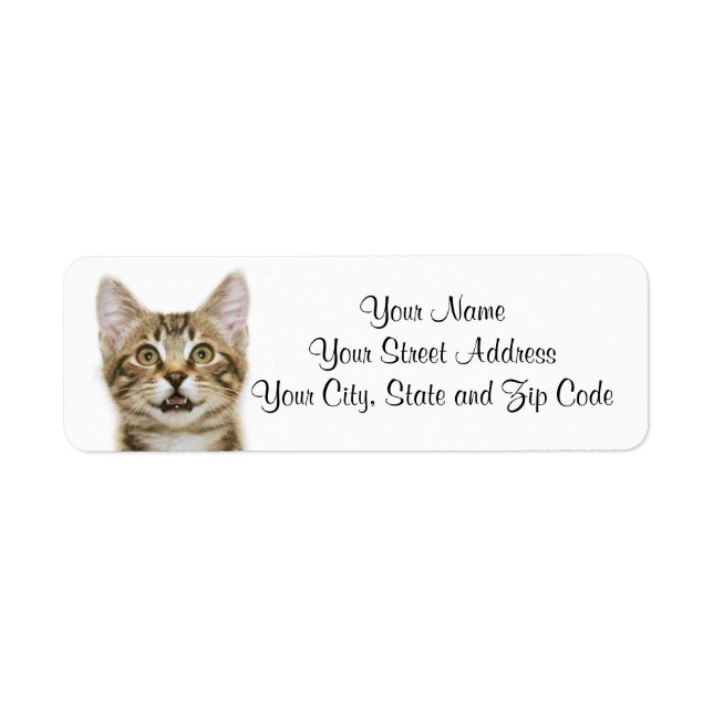 Brown Tabby Kitten Returadress Etikett (Framsidan)