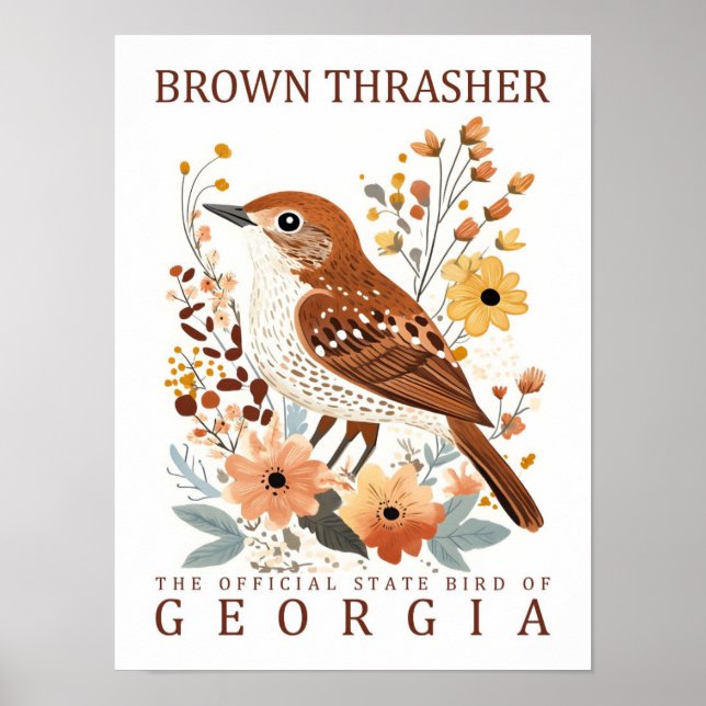 Brown Thrasher Bird of Georgia USA Travel Poster (Framsidan)