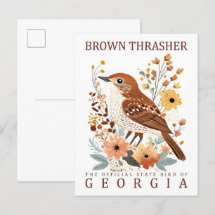 Brown Thrasher Bird of Georgia USA Travel Vykort