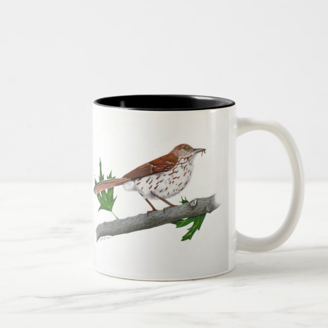 Brown Thrasher Inspirational Mugg (Höger)