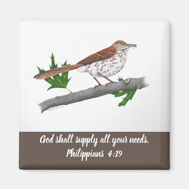 Brown Thrasher inspirationsnätverk Magnet (Framsidan)