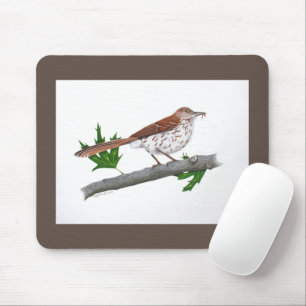 Brown Thrasher Mousepad Musmatta