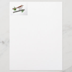 Brown Thrasher Stationery Brevhuvud